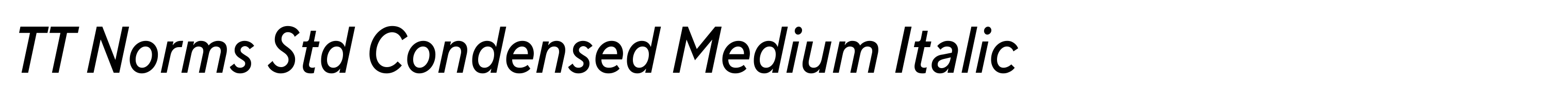 TT Norms Std Condensed Medium Italic